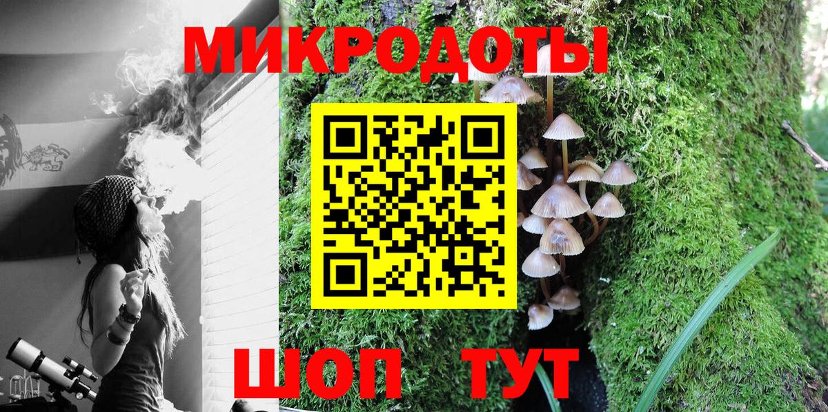 Донской  Галлюциногенные грибы Psilocybine cubensis  Вход с VPN 