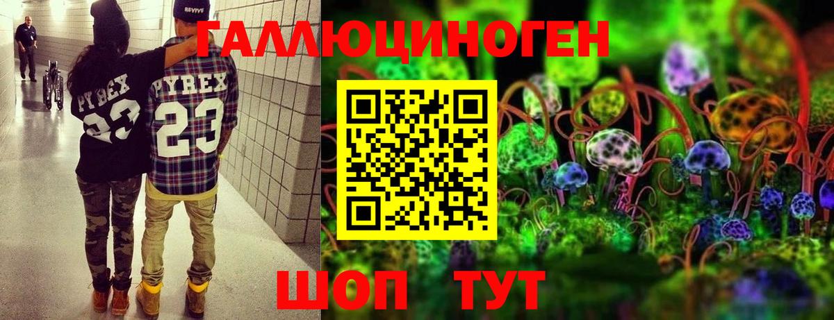 Псилоцибиновые грибы Psilocybe Донской